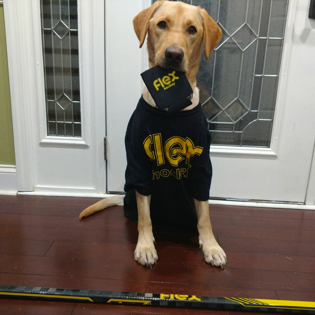 Yellow Lab with Flex Coozie and Hockey Stick